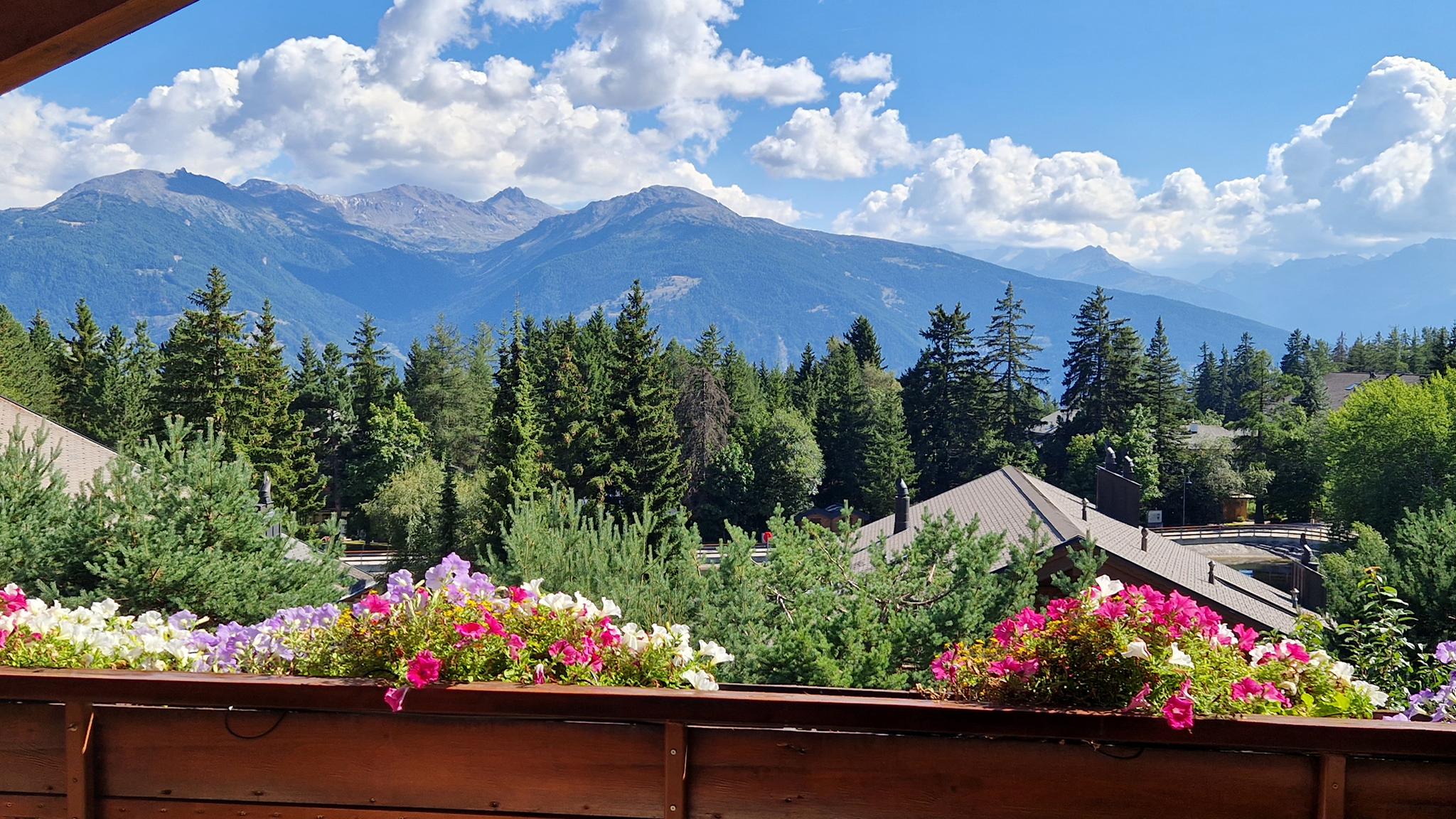 A vendre 3963 Crans-Montana Attique pièce(s) 3