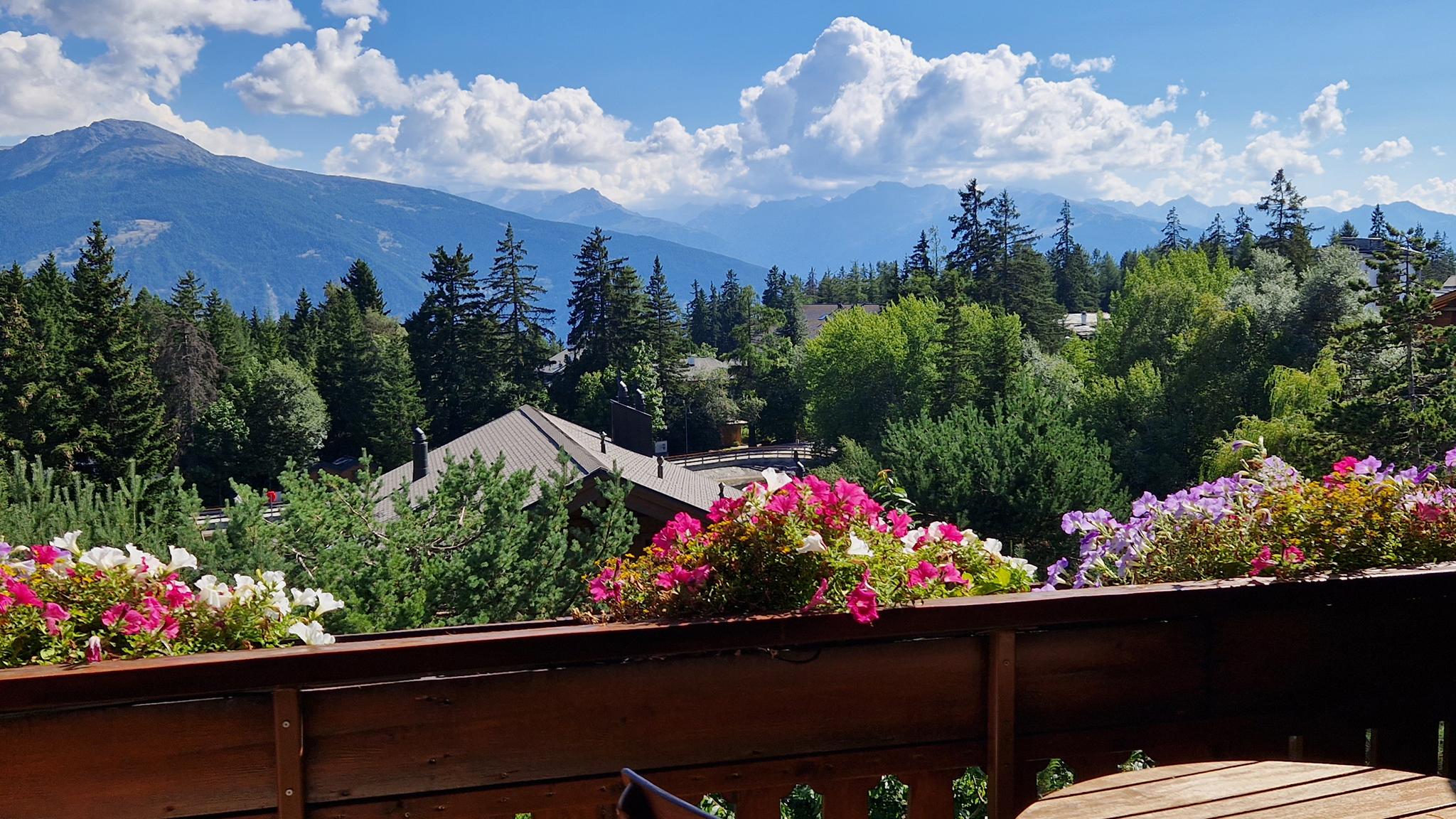 A vendre 3963 Crans-Montana Attique pièce(s) 3