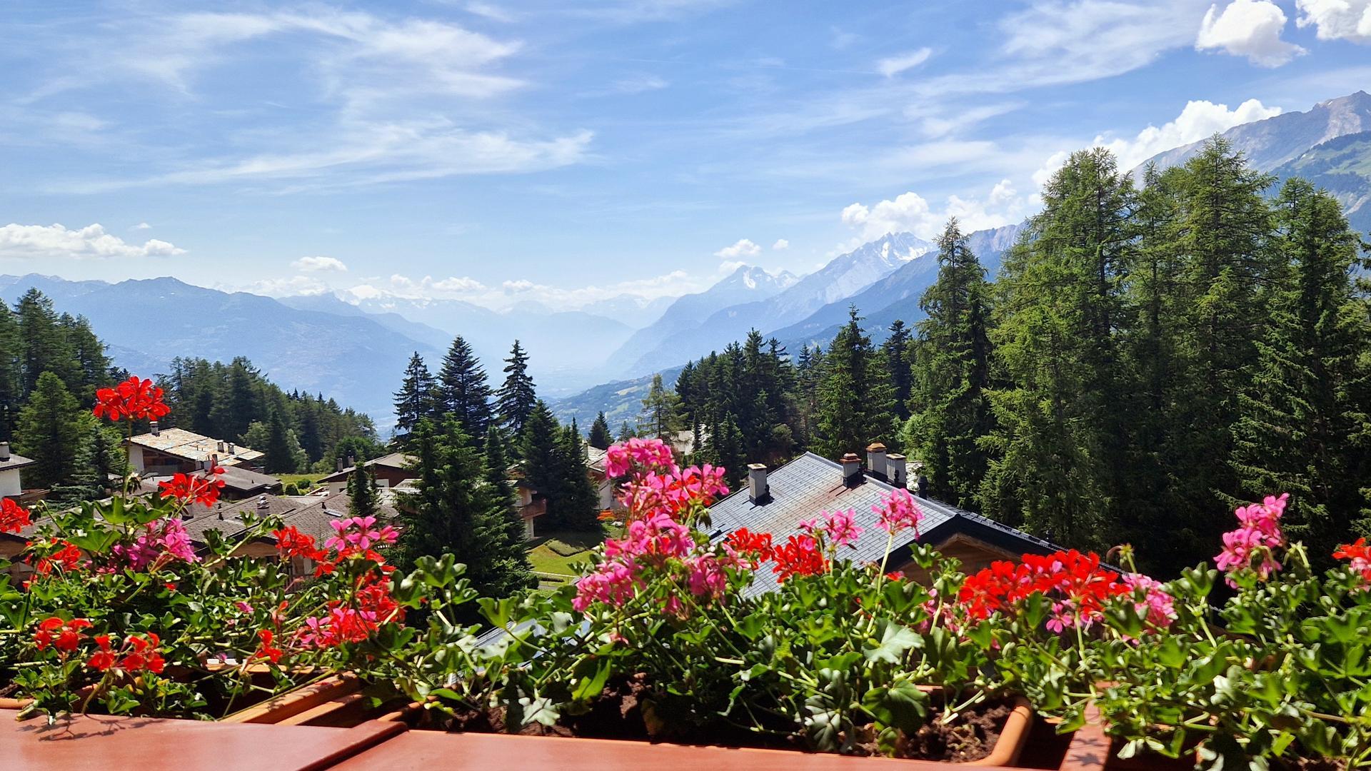 A vendre 3963 Crans-Montana Attique pi&egrave;ce(s) 5.5