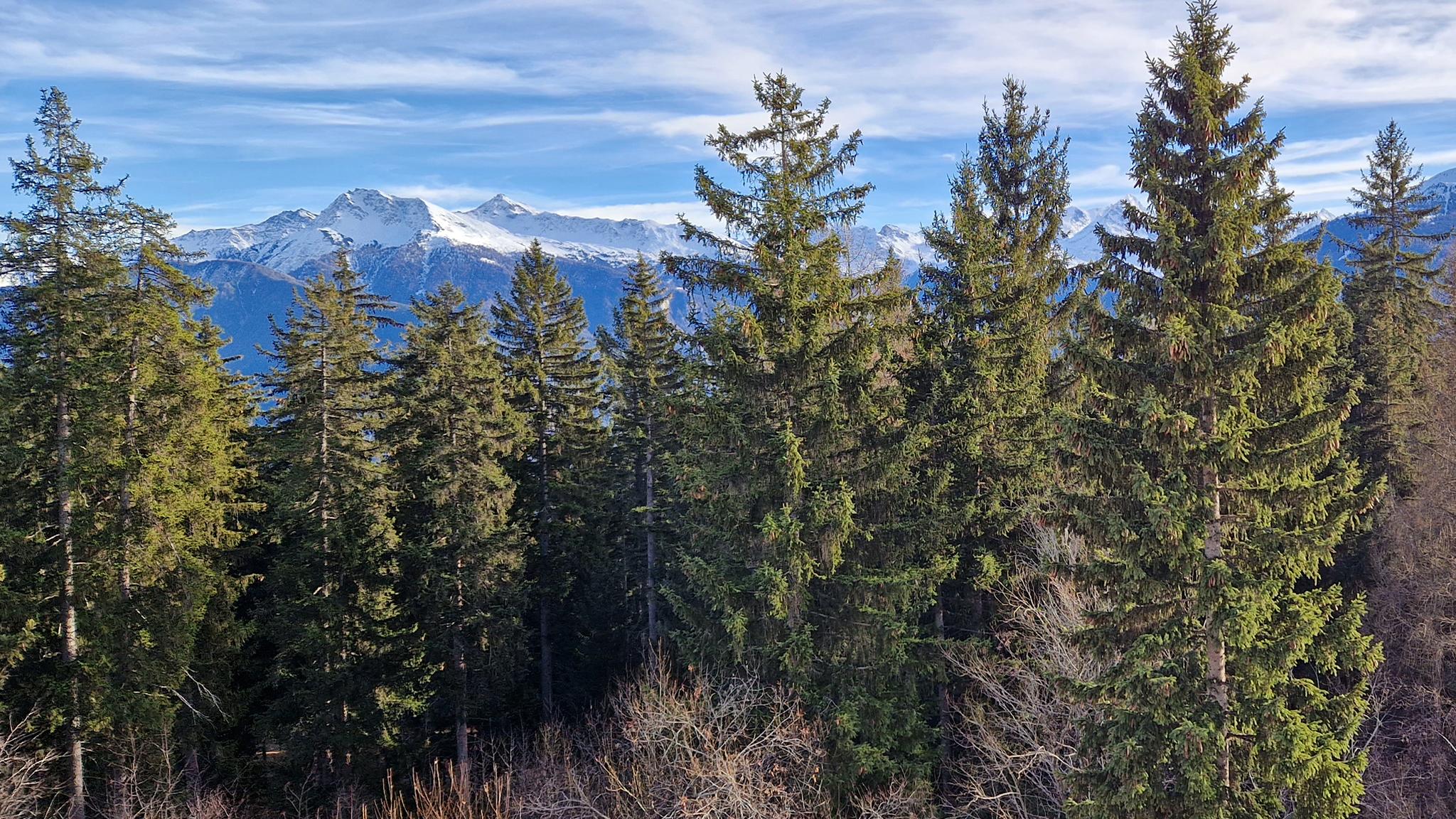 A vendre 3963 Crans-Montana Attique pièce(s) 6.5